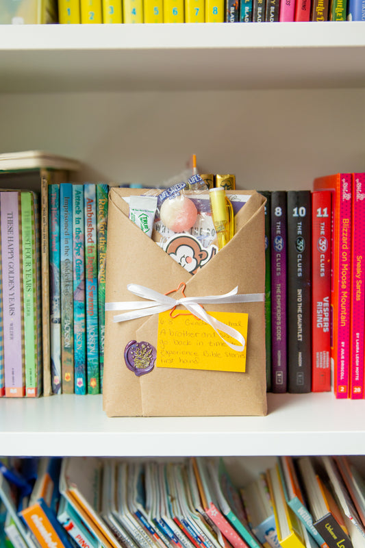 Explorer: Early Chapter Books